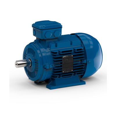 IEC standard motors